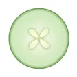 Mastering Esthetics - Practice Exams