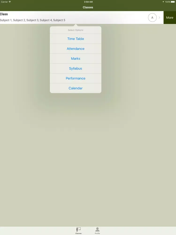 Capturas de pantalla de Master Minds E M High School iPad 