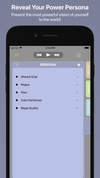 Screenshot di Mastering the 48 Laws of Power