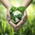 Agriculture 101:The Urban Farmer