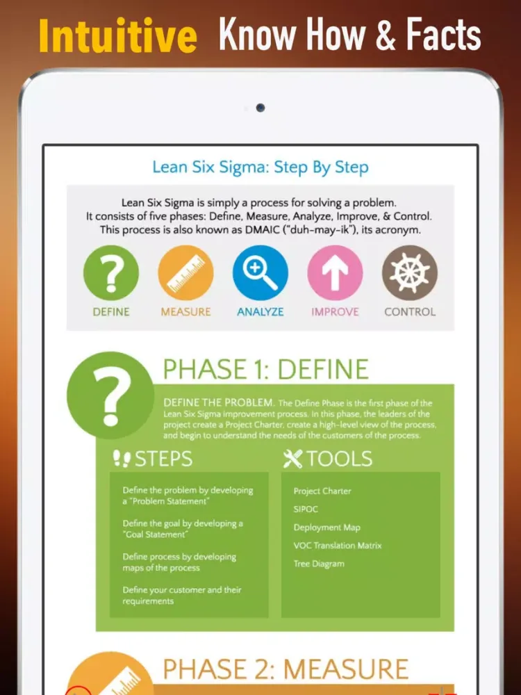 Screenshot di Six Sigma Guidance|Glossary and Free Video Lesson iPad 