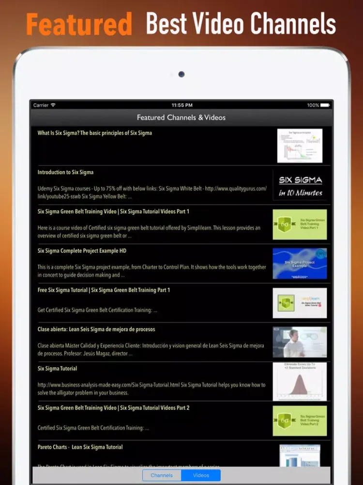 Screenshot di Six Sigma Guidance|Glossary and Free Video Lesson iPad 