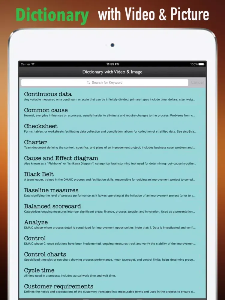 Screenshot di Six Sigma Guidance|Glossary and Free Video Lesson iPad 