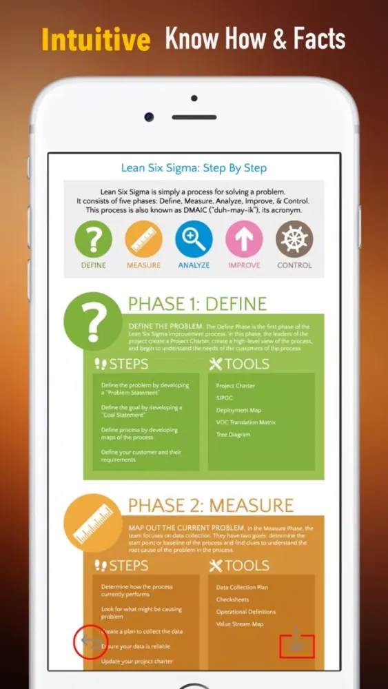 Screenshot di Six Sigma Guidance|Glossary and Free Video Lesson