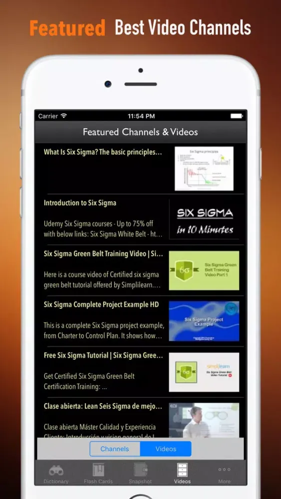 Screenshot di Six Sigma Guidance|Glossary and Free Video Lesson