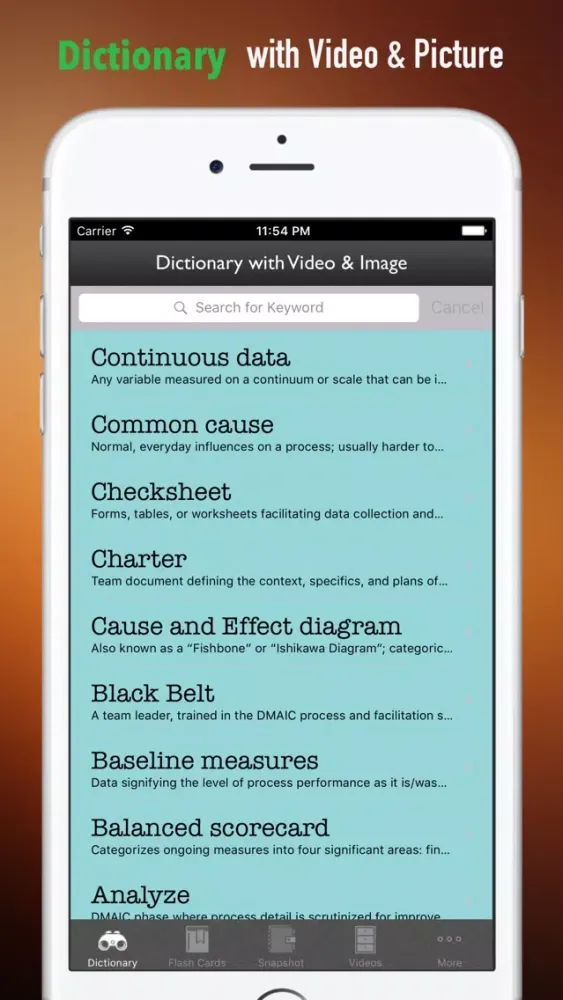 Screenshot di Six Sigma Guidance|Glossary and Free Video Lesson