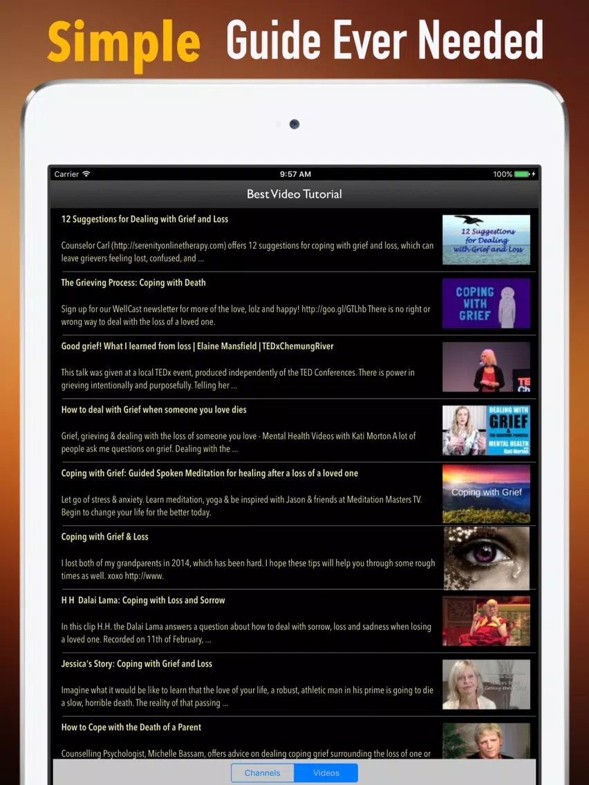 Coping with Grief and Loss Guide:Grieving Tips iPad  स्क्रीनशॉट