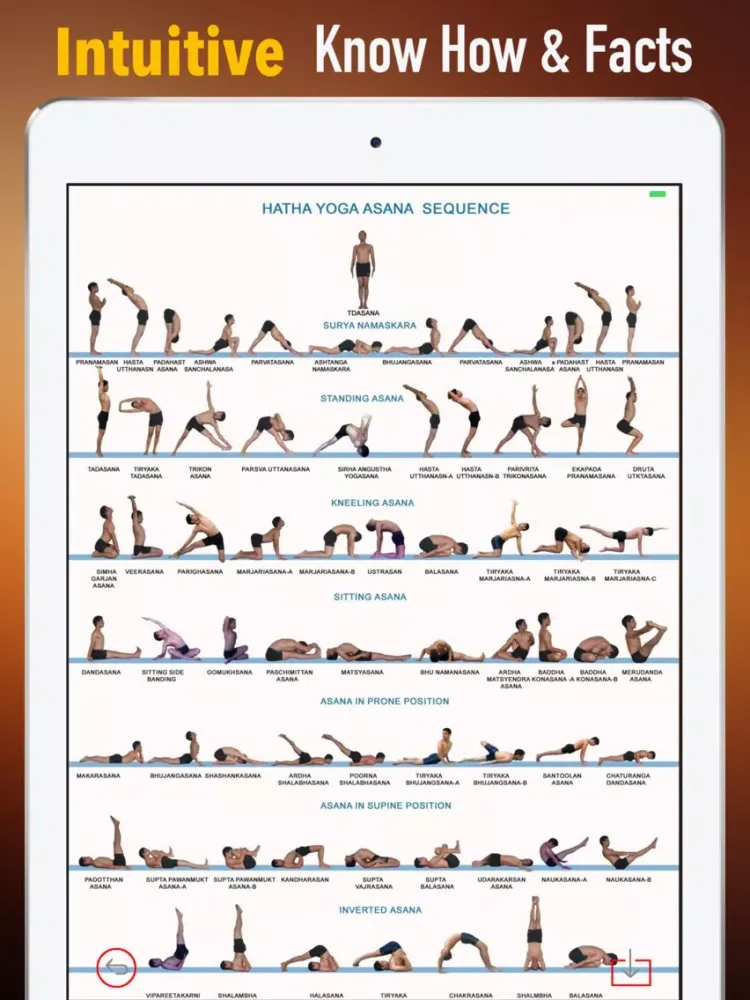 Скриншоты Hatha Yoga for Beginners-Video Tutorials and Guide iPad 