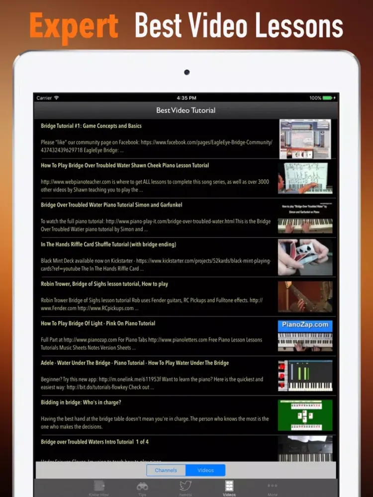 Capturas de tela do Bridge for Beginners-Strategy Tips and Tutorial iPad 