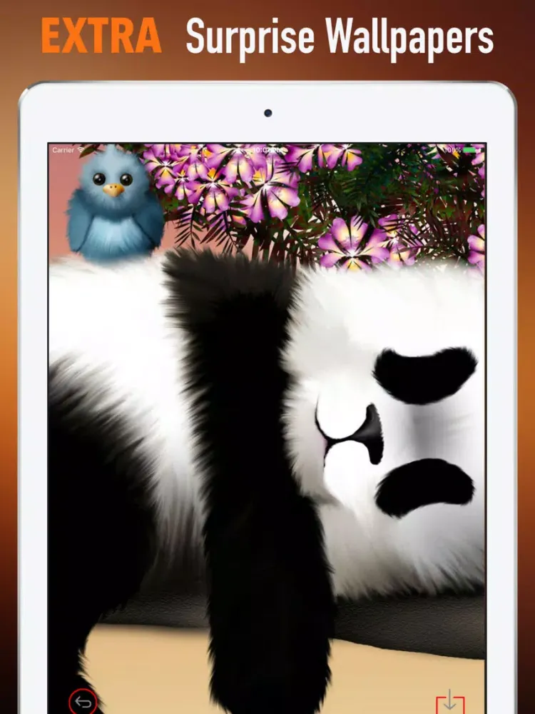 Zrzuty ekranu Panda Wallpapers HD- Backgrounds and Art Pictures iPad 
