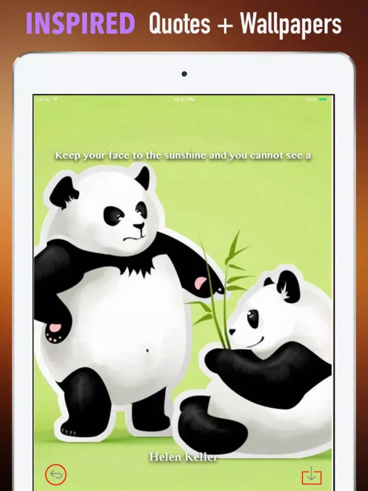 Zrzuty ekranu Panda Wallpapers HD- Backgrounds and Art Pictures iPad 