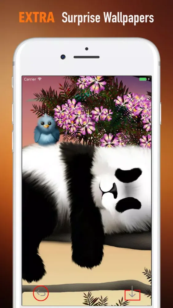 Zrzuty ekranu Panda Wallpapers HD- Backgrounds and Art Pictures