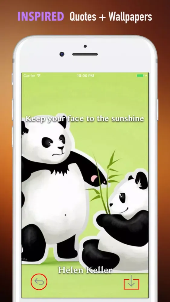 Zrzuty ekranu Panda Wallpapers HD- Backgrounds and Art Pictures