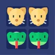 Brain Game. Picture Match 2021