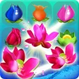 Bloom Flower Strike Mania Bloom Flower Strike Mania