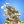 Mortar Clash 3D: Battle Games