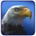 Eagle Wolf Dragon