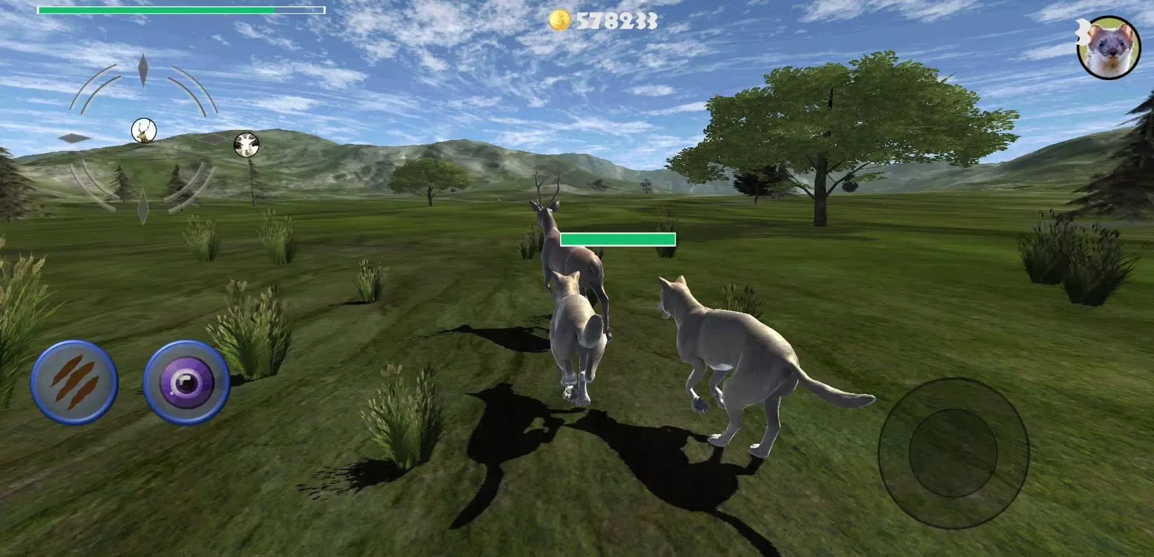 تصاویر Eagle Wolf Dragon