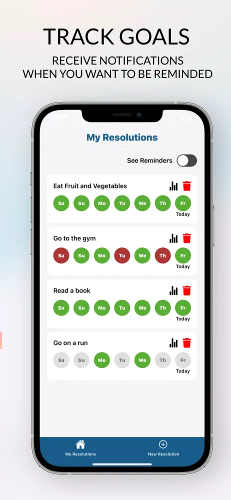 New Year's Resolutions 2024应用截图