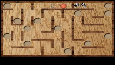Скриншоты Wood Maze Deluxe