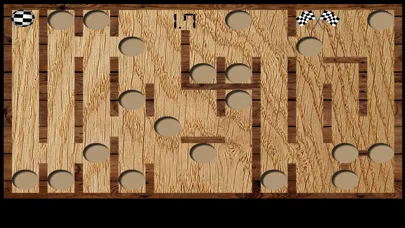 Скриншоты Wood Maze Deluxe