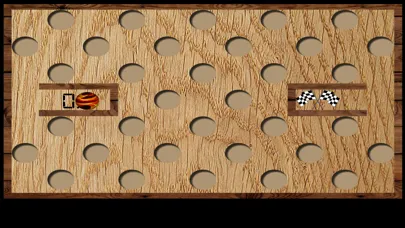 Скриншоты Wood Maze Deluxe