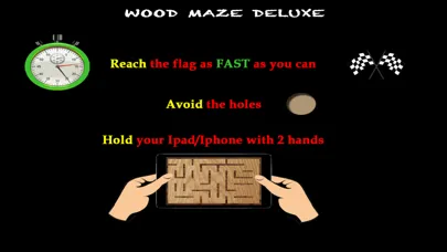 Скриншоты Wood Maze Deluxe