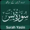 Surah Yasin in Urdu