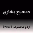 Sahih Bukhari Hadith