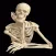Human Anatomy!