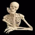 Human Anatomy! Human Anatomy!