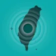 TW earthquake