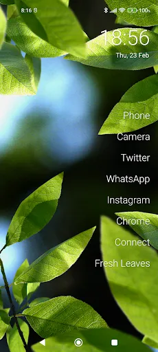 Fresh Leaves Screenshots