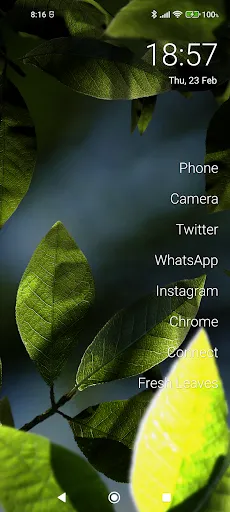 Fresh Leaves Screenshots