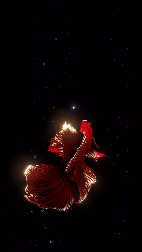 Screenshot di BETTA 120HZ