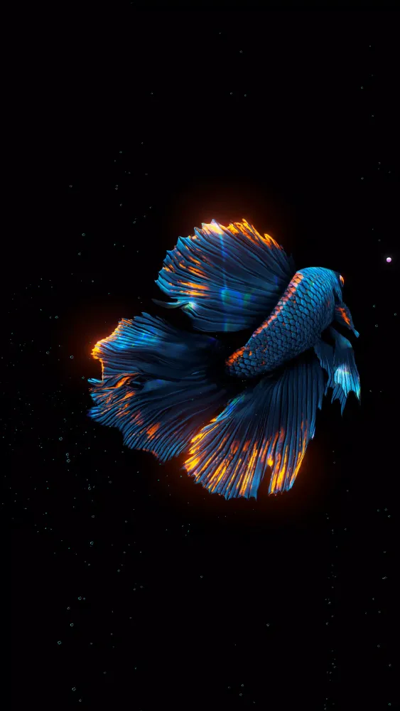 Screenshot di BETTA 120HZ