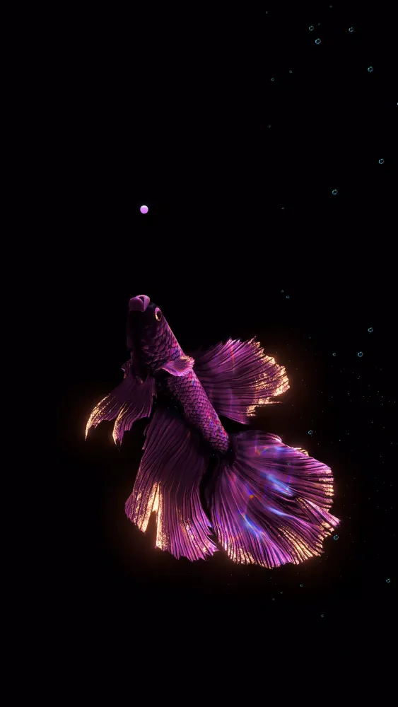 Screenshot di BETTA 120HZ