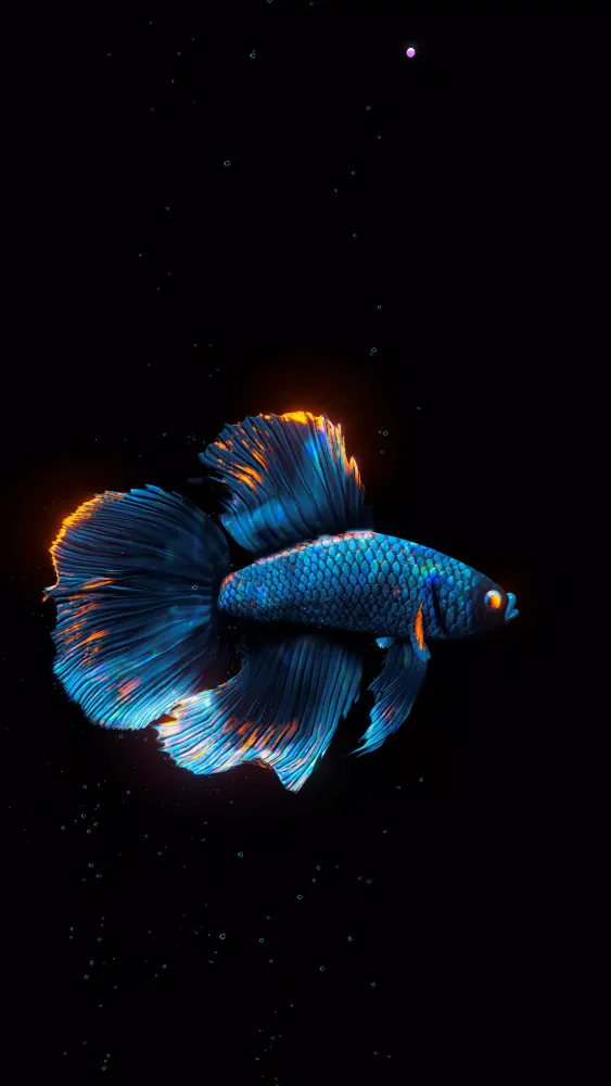 Screenshot di BETTA 120HZ