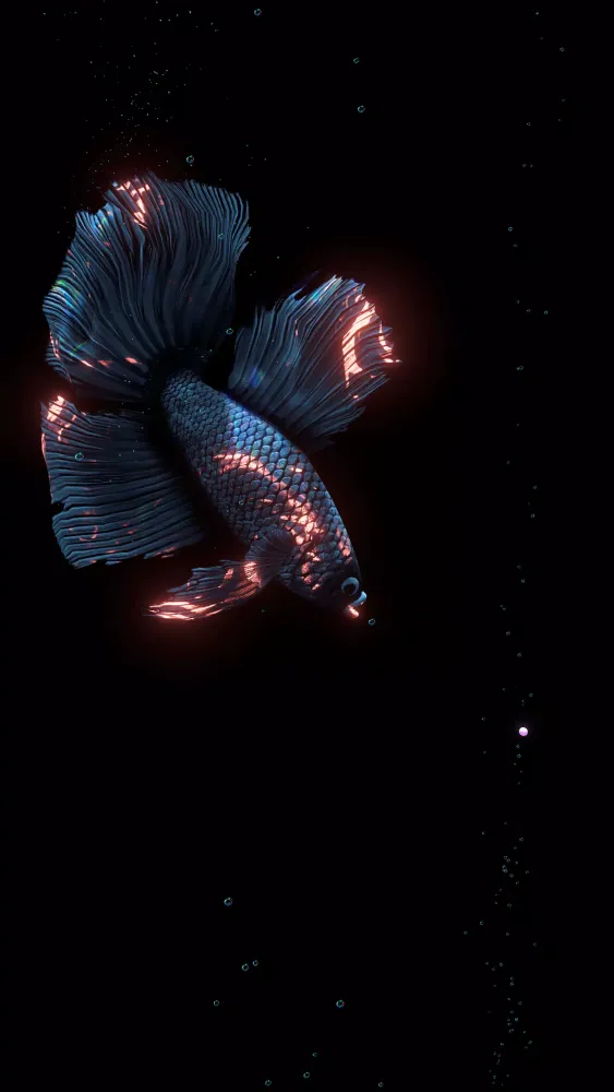 Screenshot di BETTA 120HZ
