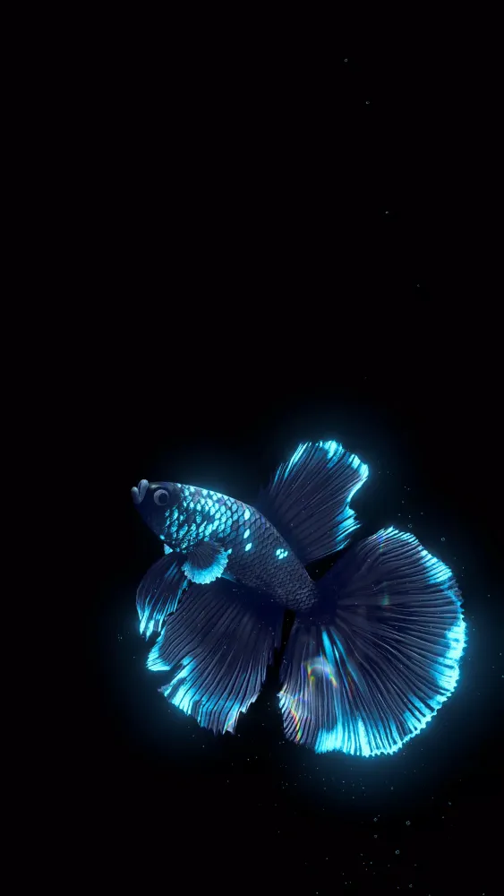 Screenshot di BETTA 120HZ