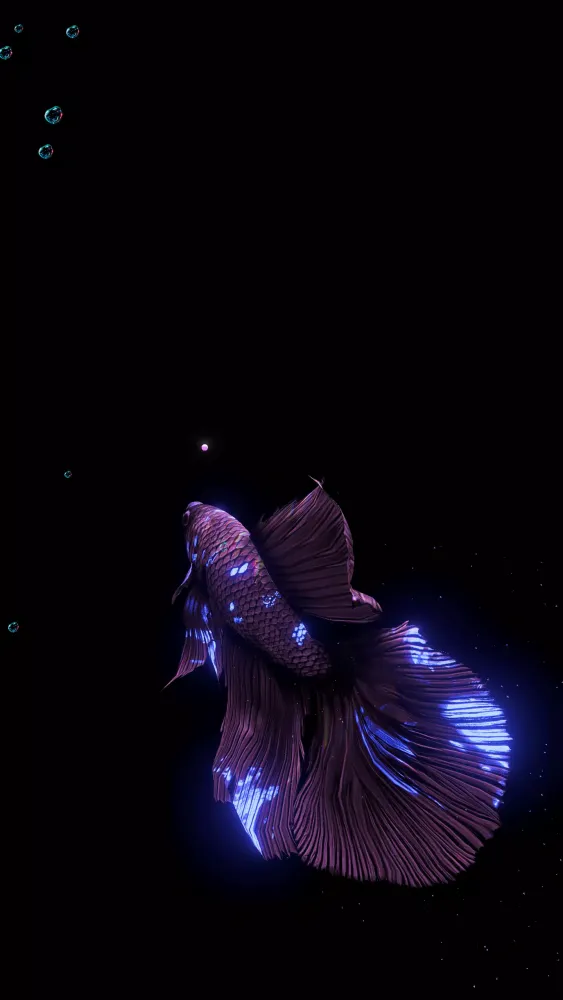 Screenshot di BETTA 120HZ