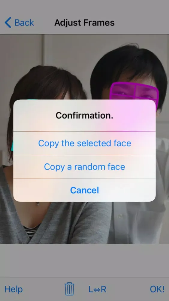 Скриншоты FaceCopy Camera