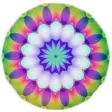 Zen Mover Zen Mover