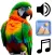 Parrot Sounds & 4K Wallpapers