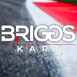 Briggs Kart Championship Briggs Kart Championship