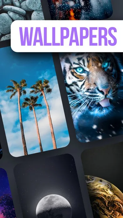 Pixs: Cool HD screen saver应用截图