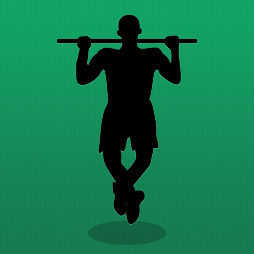 Pullups Coach Pullups Coach