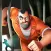 Prison Breakout !