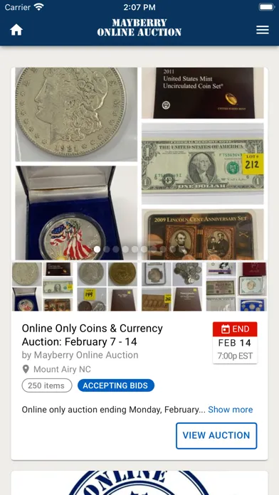 Ảnh chụp màn hình của Mayberry Online Auction