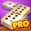 Dominoes Pro Offline or Online